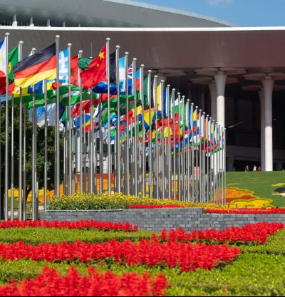 دستاوردهای نمایشگاه بین المللی واردات شانگهای - چین 2025